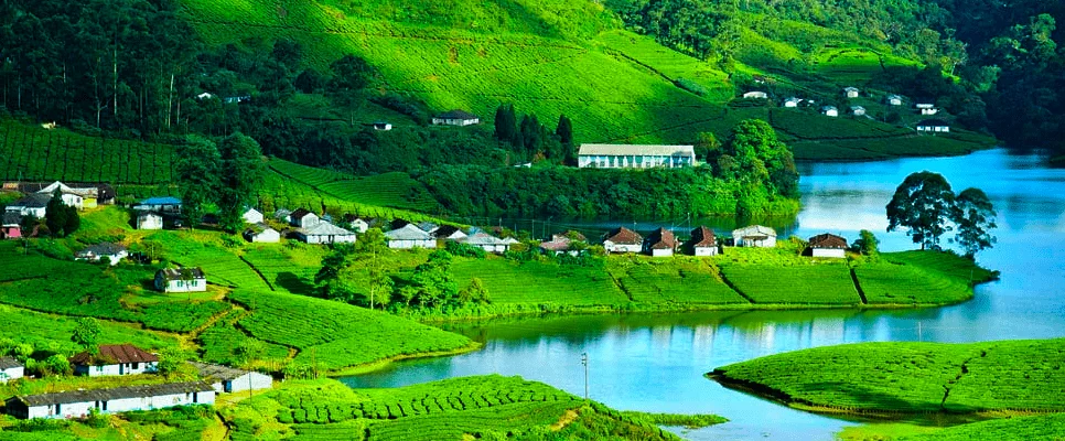 Wayanad Wilderness Retreat