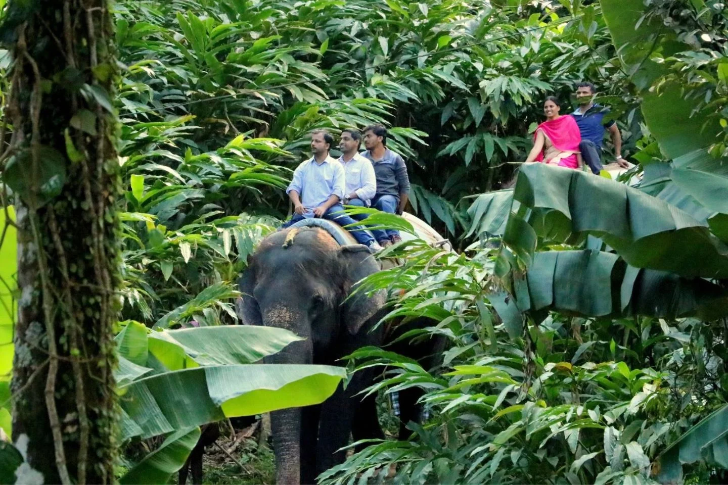Wilds of Thekkady