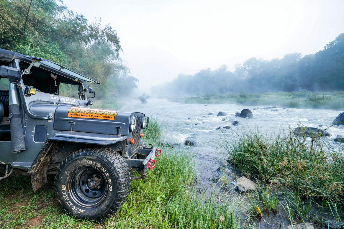 Wayanad Jungle Safari